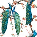 Watercolor raster peacock pattern Royalty Free Stock Photo