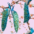 Watercolor raster peacock pattern Royalty Free Stock Photo