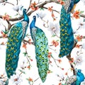 Watercolor raster peacock pattern Royalty Free Stock Photo