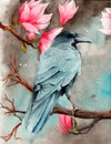 Watercolor raven on the magnolia branches