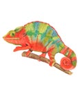 Watercolor realistic chameleon animal isolated