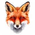 Watercolor realistic fox face on a white background. Print for postcard, mug, baseball cap, notepad, notebook Royalty Free Stock Photo