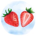 Watercolor realistic half strawberries illustration Royalty Free Stock Photo