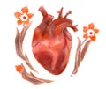 Watercolor human heart with flowers on white