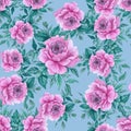 Watercolor realistic pink roses on blue pattern