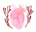 Watercolor realistic shape human heart with stems