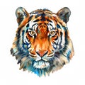 Watercolor realistic tiger face on a white background. Print for postcard, mug, baseball cap, notepad, notebook Royalty Free Stock Photo
