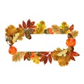 Watercolor rectangular frame with autumn leaves and berries. Background with fall foliage, acorns and place for text