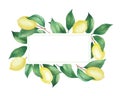 Watercolor rectangular frame of lemons and green branches, leaves. Isolated drawing on a white background Royalty Free Stock Photo