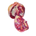 Watercolor red abstract garnet hand drawn pomegranate with seeds isolated on white background. Art creative object for