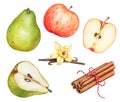 Watercolor red apples, green pears, cinnamon sticks and vanilla sticks with flower Royalty Free Stock Photo