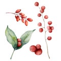 Watercolor red berries set. Hand painted winter plants with leaves, branches and berries isolated on white background Royalty Free Stock Photo