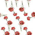 Watercolor red carnation pattern