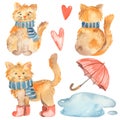 Watercolor red cats of Petersburg, puddle, umbrella, red heart for postcards, invitations