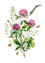 Watercolor Red Clover Bouquet Illustration