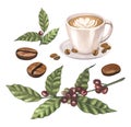 Watercolor of red coffee arabica beans on branch with berries and cup latte. Hand-drawn illustration isolated on white Royalty Free Stock Photo