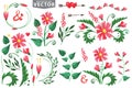Watercolor red flowers,branshes,floral elements Royalty Free Stock Photo