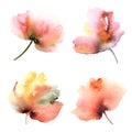 Watercolor red flowers set. Poppy flower painting. Floral decor for greeting card, wedding invitation.