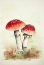Watercolor of the red fly agarics. Poisonous toxic mushrooms on green and brown background. Handmade watercolor. Red fly agarics