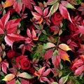 Watercolor red grapes leaves. Leaf plant botanical garden floral foliage. Seamless background pattern.