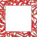 Watercolor red hot chili chilli spicy pepper frame border