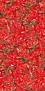 Watercolor red hot chili chilli spicy pepper seamless pattern texture background Royalty Free Stock Photo
