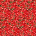 Watercolor red hot chili chilli spicy pepper seamless pattern texture background Royalty Free Stock Photo