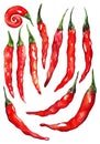 Watercolor red hot chili chilli spicy pepper set isolated