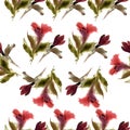 Watercolor red lilies pattern Royalty Free Stock Photo