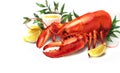 Watercolor red lobster and lemon illustration