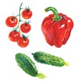 Watercolor red paprika pepper, cucumbers, cherry tomatoes Royalty Free Stock Photo