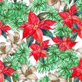 Watercolor red poinsettia with white lily and branch pine seamless pattern. Royalty Free Stock Photo