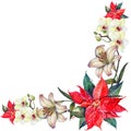 Watercolor red poinsettia with white lily and orchid corner.