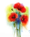 Watercolor red poppy flower painting Royalty Free Stock Photo