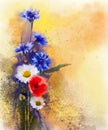 Watercolor red poppy flowers, blue cornflower and white daisy painting Royalty Free Stock Photo