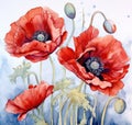 Watercolor red poppy flowers. illustration isolated on white background. Generative AI Royalty Free Stock Photo