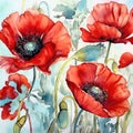 Watercolor red poppy flowers. illustration isolated on white background. Generative AI Royalty Free Stock Photo