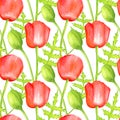 Watercolor red Poppy seamless pattern. Hand drawn botanical Papaver flower, poppy bud and leaf illustration isolated on white Royalty Free Stock Photo