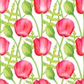 Watercolor red Poppy seamless pattern. Hand drawn botanical Papaver flower, poppy bud and leaf illustration isolated on white Royalty Free Stock Photo