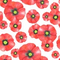 Watercolor red Poppy seamless pattern. Hand drawn botanical Papaver flower illustration isolated on white background. Bright field Royalty Free Stock Photo