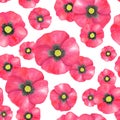 Watercolor red Poppy seamless pattern. Hand drawn botanical Papaver flower illustration isolated on white background. Bright field Royalty Free Stock Photo