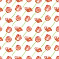 Watercolor red Poppy seamless pattern. Hand drawn botanical Papaver flower illustration isolated on white background. Bright field Royalty Free Stock Photo