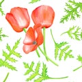 Watercolor red Poppy seamless pattern. Hand drawn botanical Papaver flower with leaves illustration isolated on white Royalty Free Stock Photo