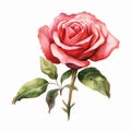 Watercolor Red Rose Clipart: Realistic Portrait Painter Inspired Design