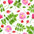 Watercolor red rose hips, flowers, leaves seamless pattern. Hand drawn background with green plants and brier berries. Floral