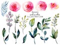 Watercolor red roses and green leaves and branches set Royalty Free Stock Photo