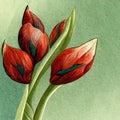 Watercolor red tulip flowers Royalty Free Stock Photo