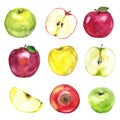 Watercolor red, yellow and green apples set on the white background Royalty Free Stock Photo