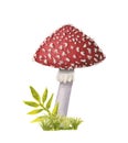 A watercolor redcap fly agaric on green grass. Hand-drawn poisonous mushroom with dots on red cap and ring on grey stipe Royalty Free Stock Photo