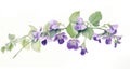 Watercolor Rendering of Jovellana Violacea AI Generated